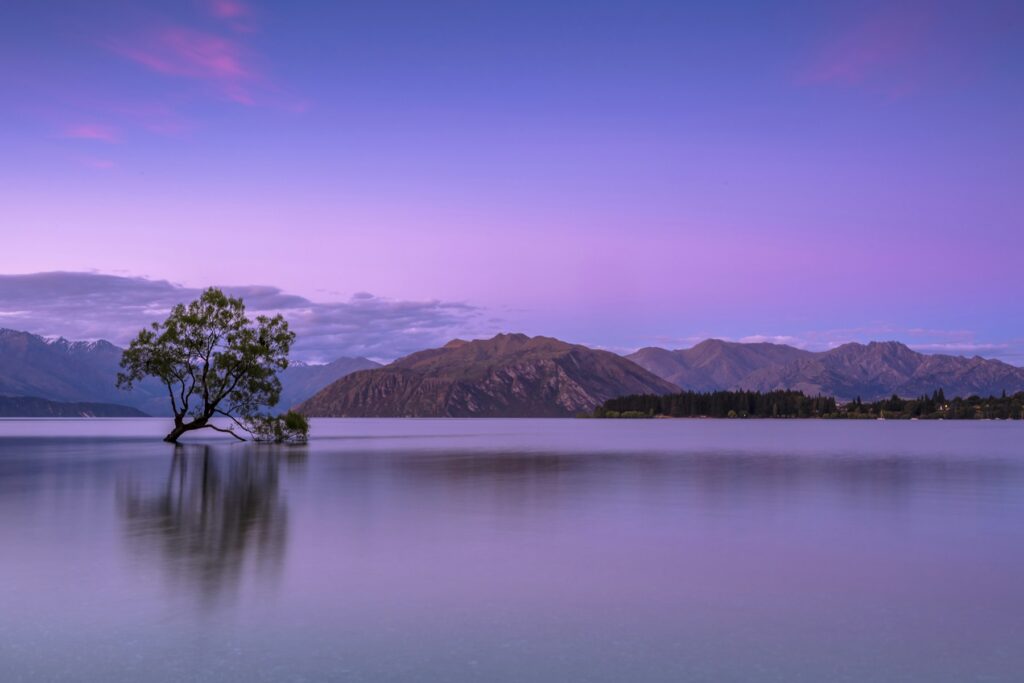 landscape photo