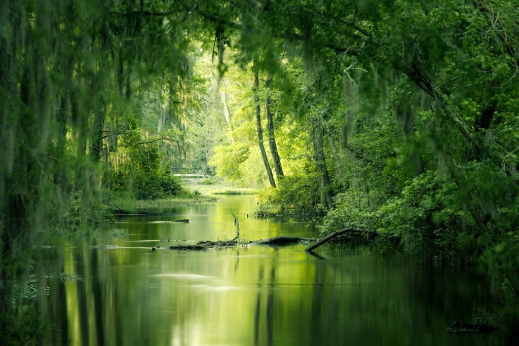 landscape photo