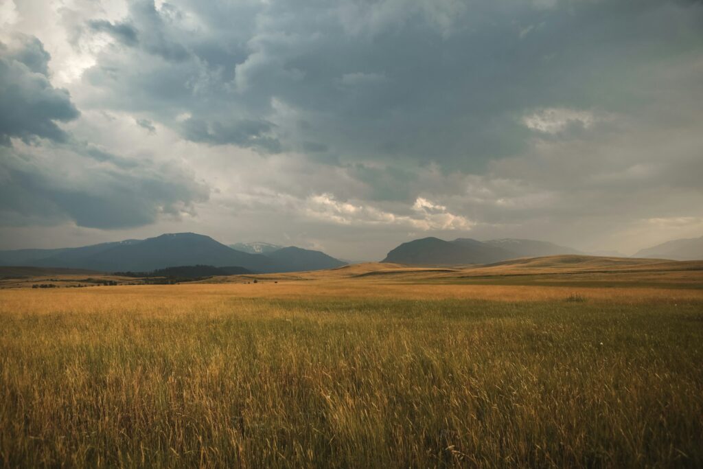 landscape photo